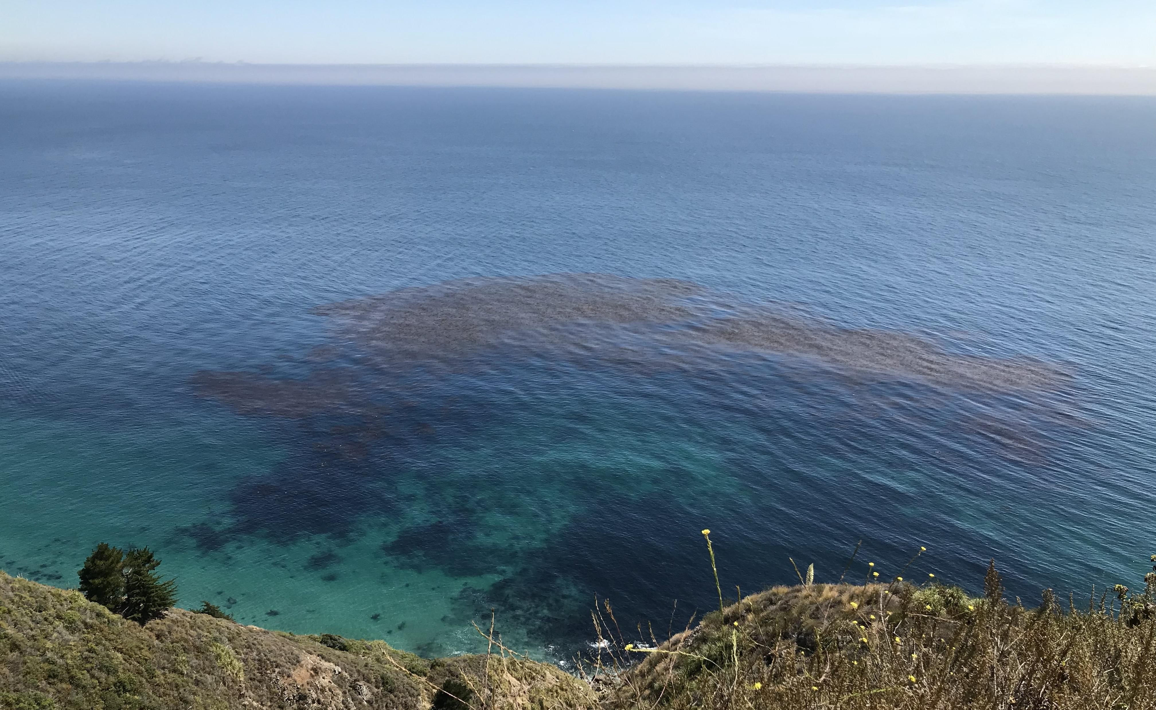 Deep blue ocean water beyond shore cliffs